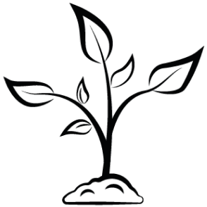 Growth